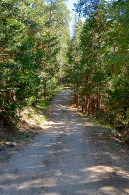 arrowhead road